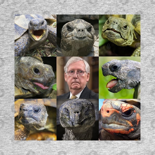 Great Turtles and Mitch McConnell by Tainted